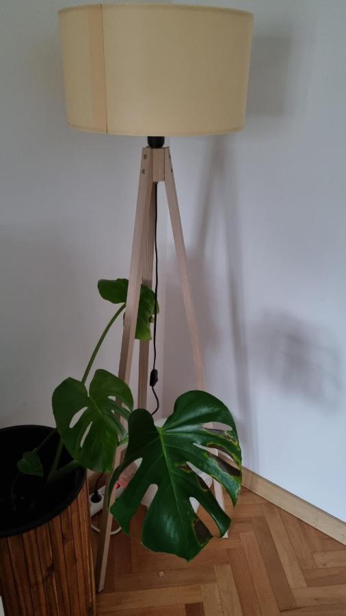 Apartman Lumi Čakovec Esterno foto